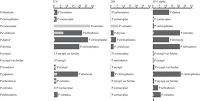 DNA Barcoding Mushroom Spawn Using EF-1α Barcodes: A Case Study in Oyster Mushrooms (Pleurotus)